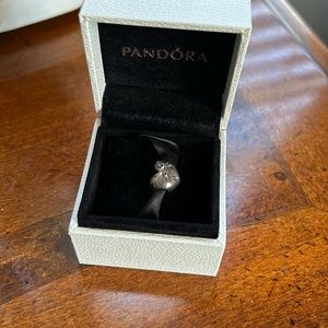 Pandora charm
